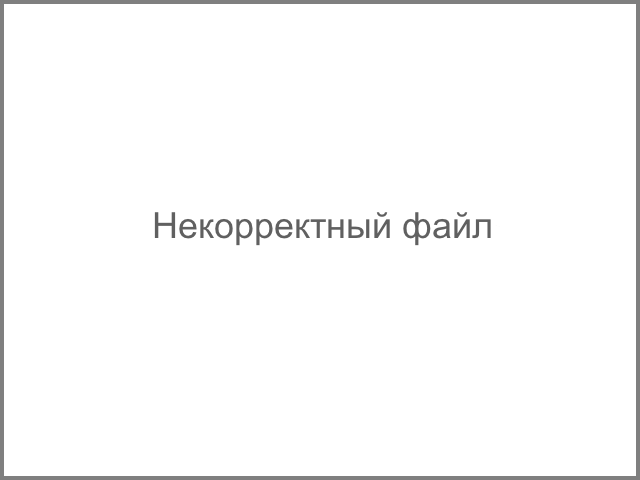 В Нижнем Тагиле украли лес Минобороны на 840 миллионов