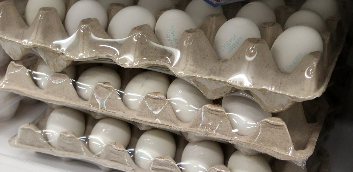 Год продуктовым санкциям: свердловские фермеры произвели меньше яиц