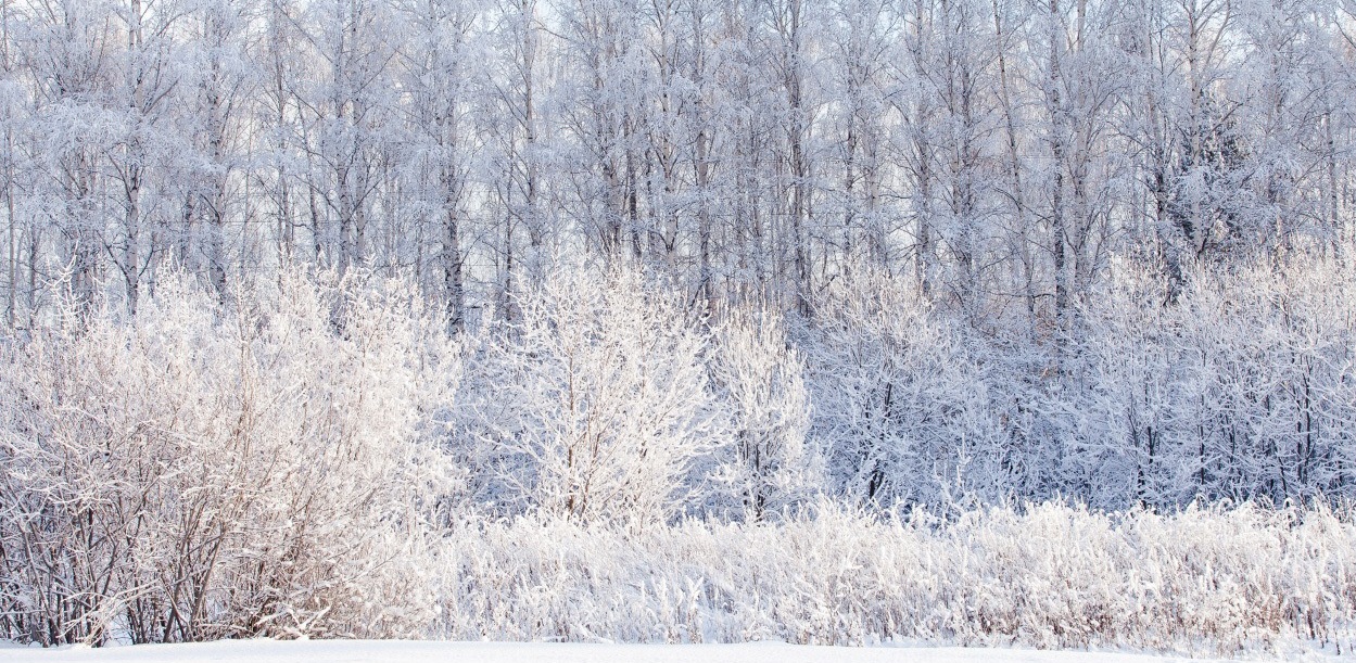 МЧС объявило в Свердловской области штормовое предупреждение из-за аномальных холодов