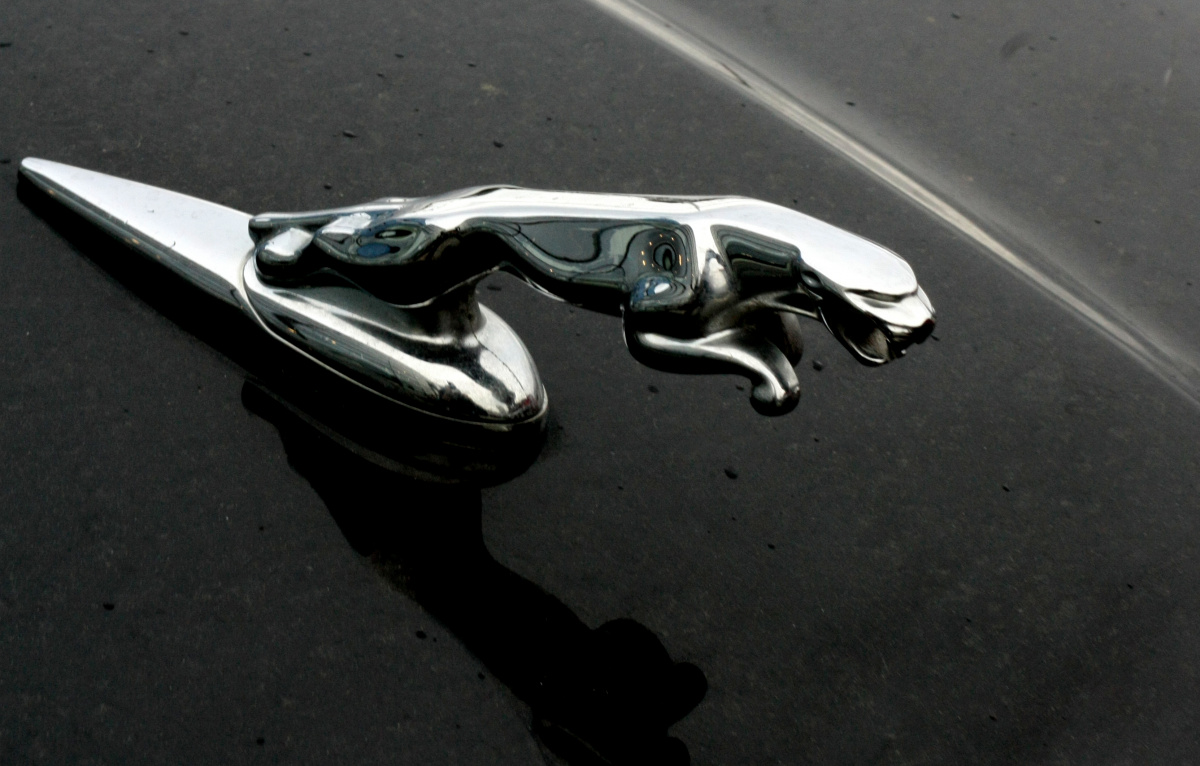 Дни открытых дверей Jaguar прошли в Екатеринбурге