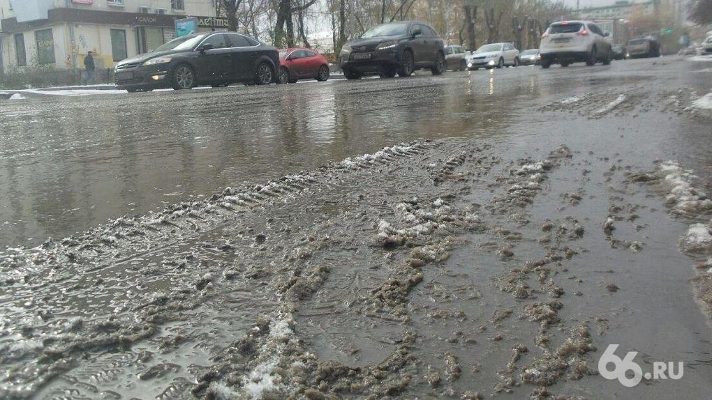 В середине следующей недели в Екатеринбурге выпадет снег — Синоптики В середине следующей недели в Екатеринбурге выпадет снег — Синоптики