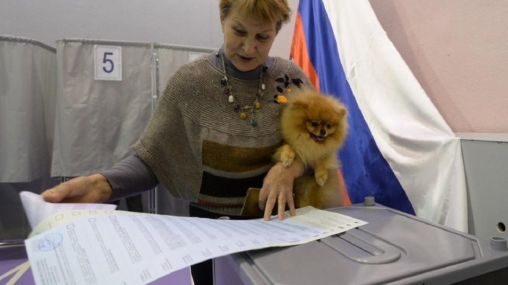 ЦИК раздаст грамоты избирателям за лучшие селфи на выборах президента 2018 года