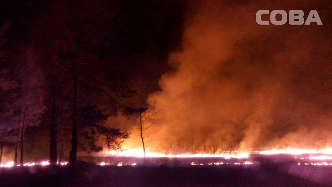 Пожарные всю ночь тушили поля под Екатеринбургом. Видео