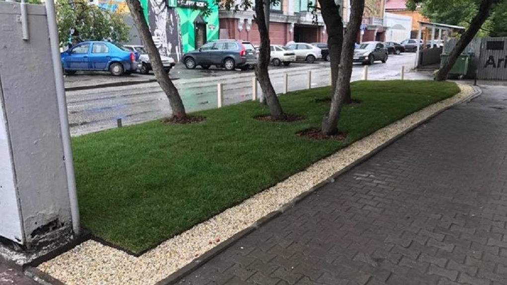 Проект экспериментального газона в Екатеринбурге примут за образец: из-за него изменят законы