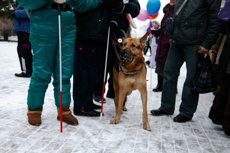Незрячие люди устроят шествие в центре Екатеринбурга. Сбор около горадминистрации