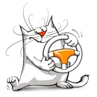 Раздел «Авто» портала 66.ru прописался «Вконтакте»