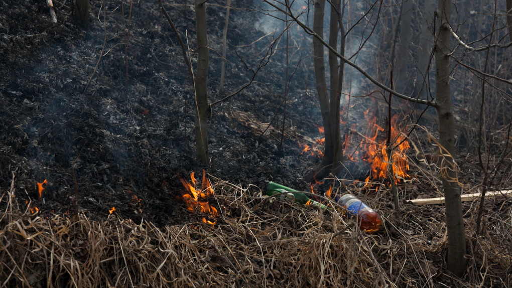 В Свердловской области начался пожароопасный сезон. Список запретов и штрафов