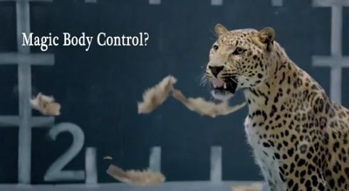 Кошки против куриц: Jaguar и Mercedes развязали рекламную войну