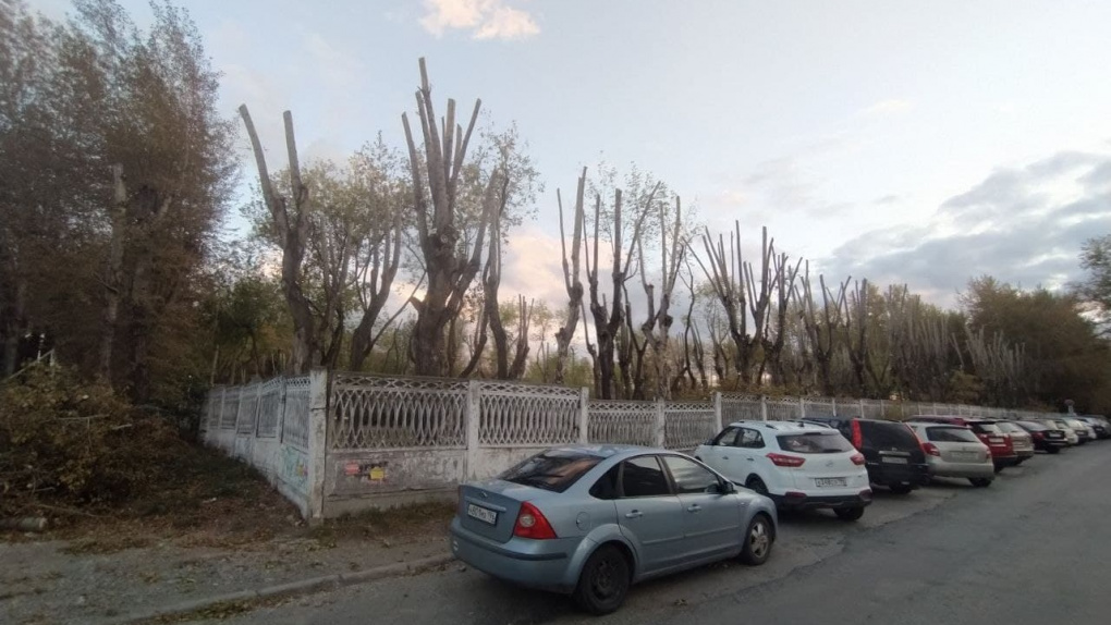 От деревьев на Эльмаше оставили лысые столбы. В мэрии такое кронирование назвали более-менее правильным