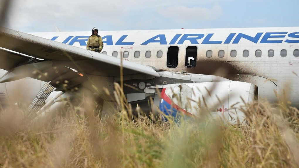 «Уральские авиалинии» передумали возвращать к полетам лайнер, посаженный в пшеничное поле