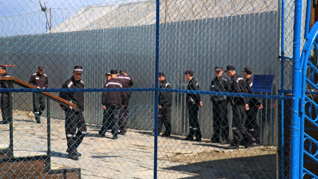 Экс-главу строительного холдинга, укравшего у МЧС 285 миллионов, отправили в колонию