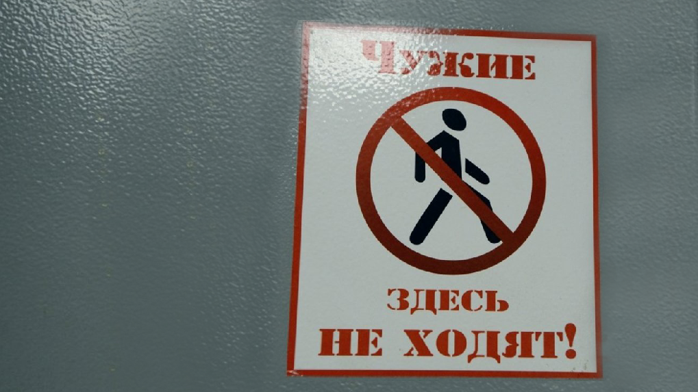 «Тихо улыбаться и ни с кем не спорить»: как стать россиянином по программе переселения соотечественников