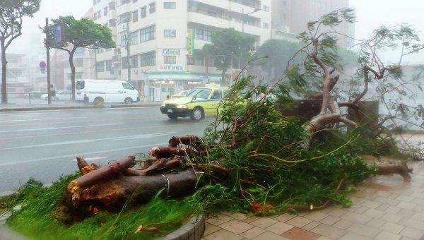 Тайфун «Неогури» из Японии движется в сторону Сахалина