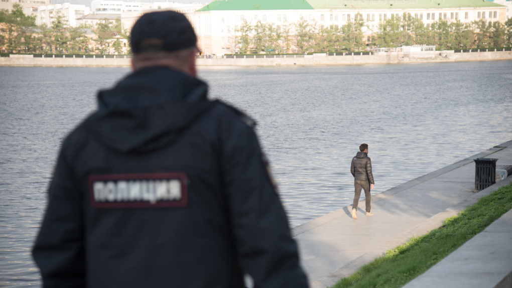 Полиция отпустила на свободу предполагаемого поджигателя дома экоактивистки