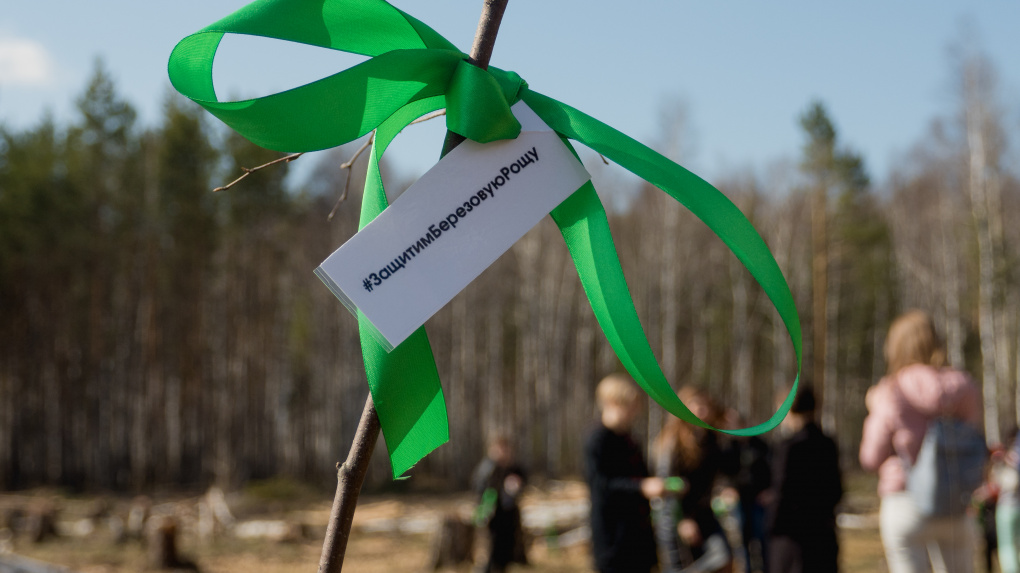 Защитники Березовой рощи попросили Владимира Путина остановить стройку