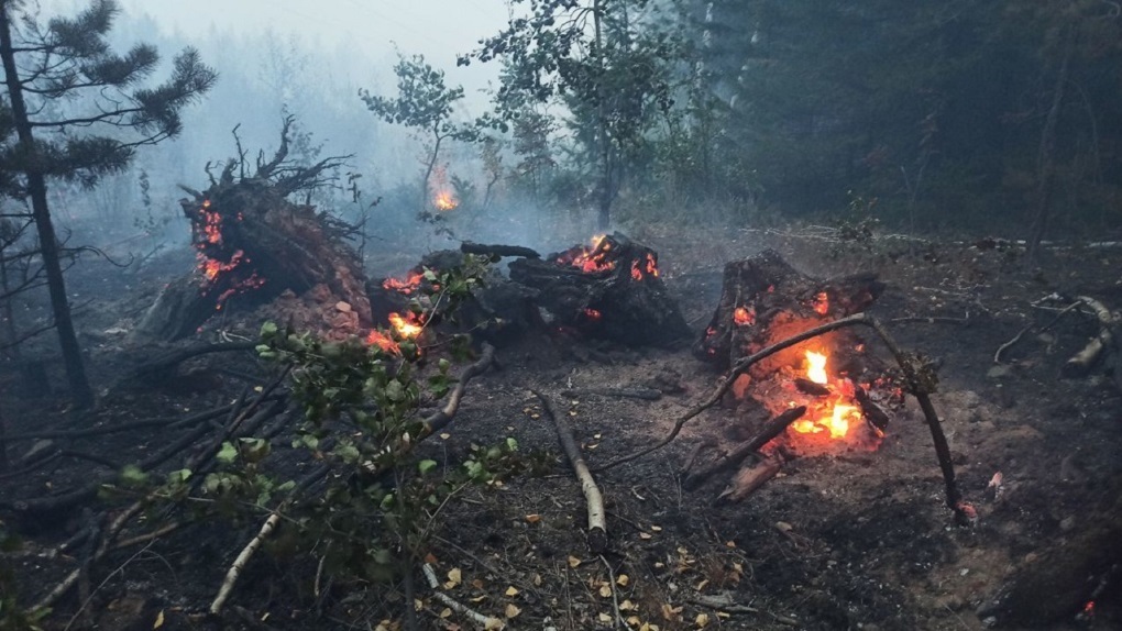 В Свердловской области потушили крупный лесной пожар, но новые очаги продолжают возникать. Причина