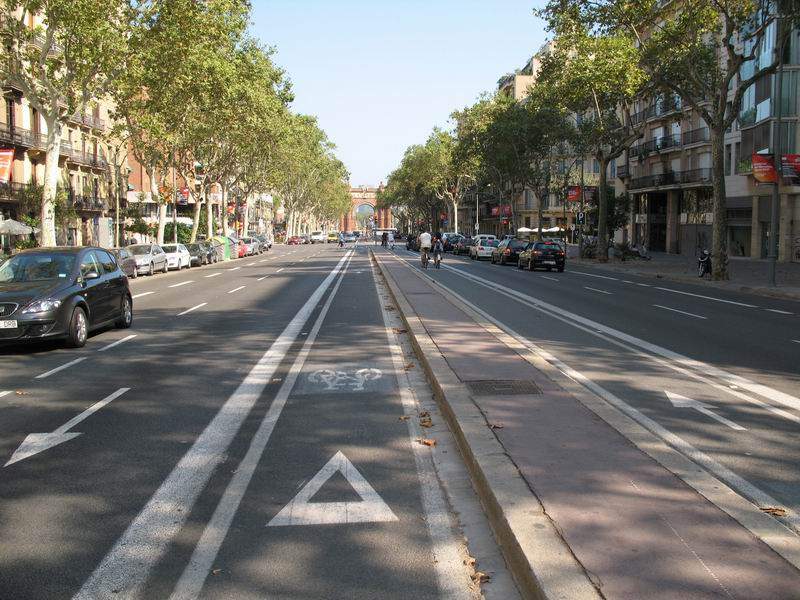 Евгений Липович взялся за велосипедистов