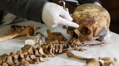 Археологи нашли в Перу гробницу, полную скелетов и драгоценностей