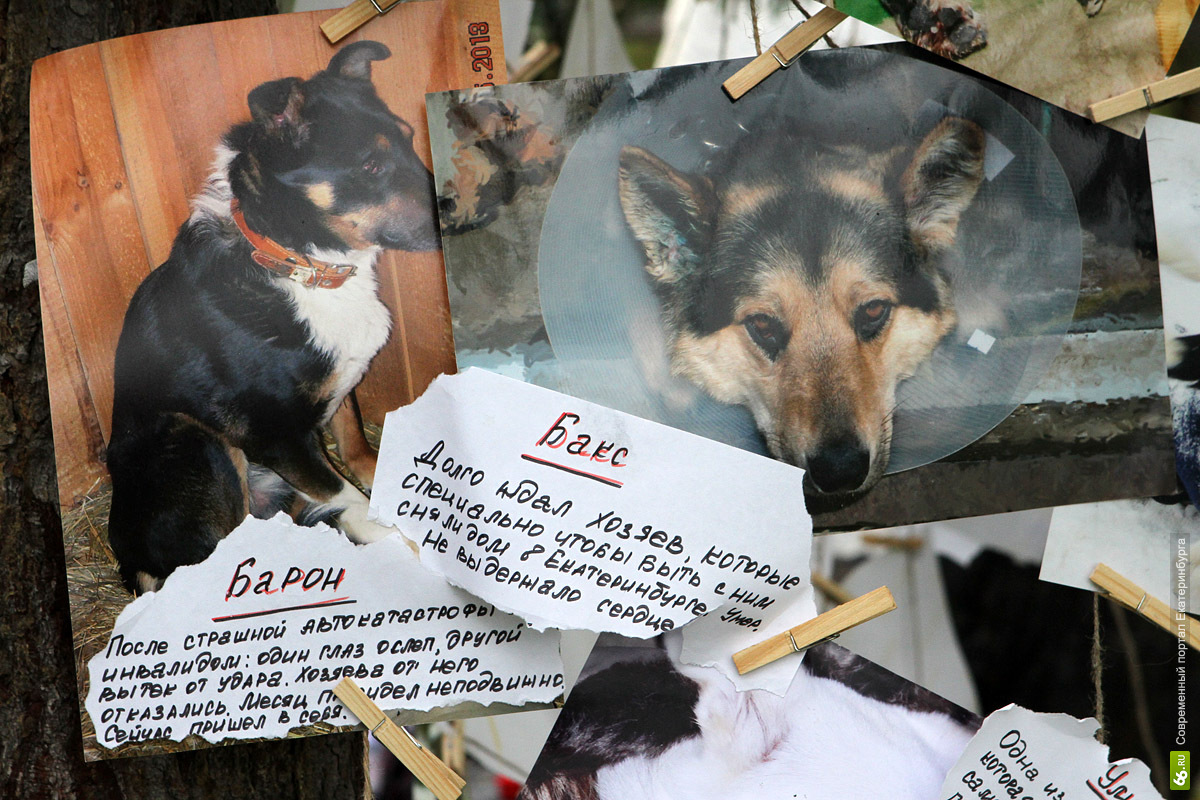 Фоторепортаж 66.ru: танцы на велосипедах и кузня в центре города