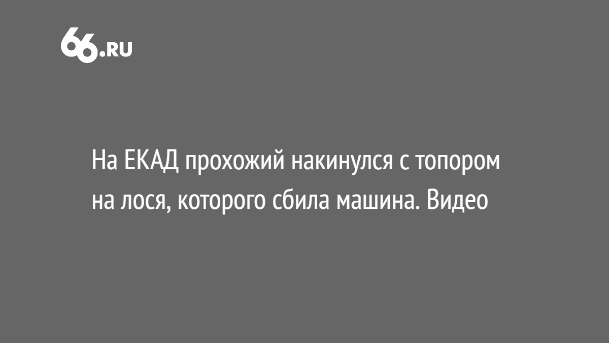 На ЕКАД прохожий накинулся с топором на лося, которого сбила машина. Видео  - Новости - 66.ru