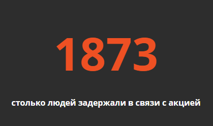 Как прошли марши в поддержку Алексея Навального в разных городах России. Фото, видео
