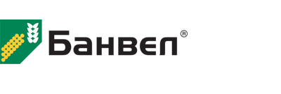 БАНВЕЛ, ВР
